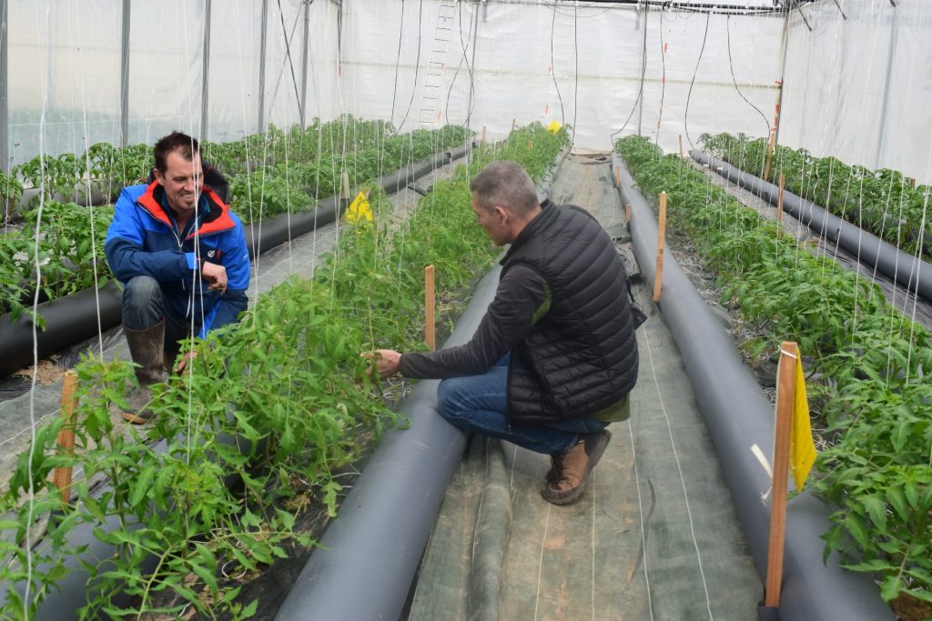 serre bioclimatique avec Thermitube discussion avec producteur