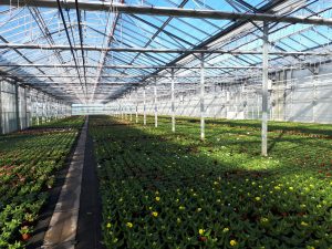 plan de relance serre bioclimatique