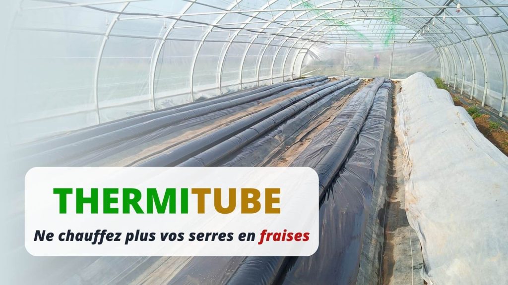 Ne chauffer plus vos serres de fraise