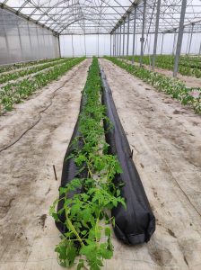 Aide pour serre bioclimatique en achetant Thermitube