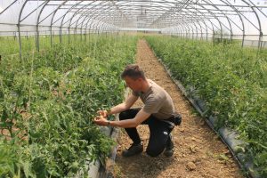 Thomas Rozier. Thermitube