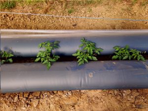 Image Article Aide Thermitube