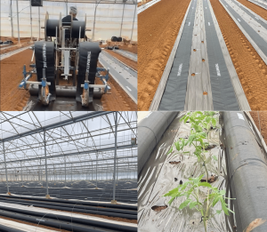 plus grande serre bioclimatique d'europe