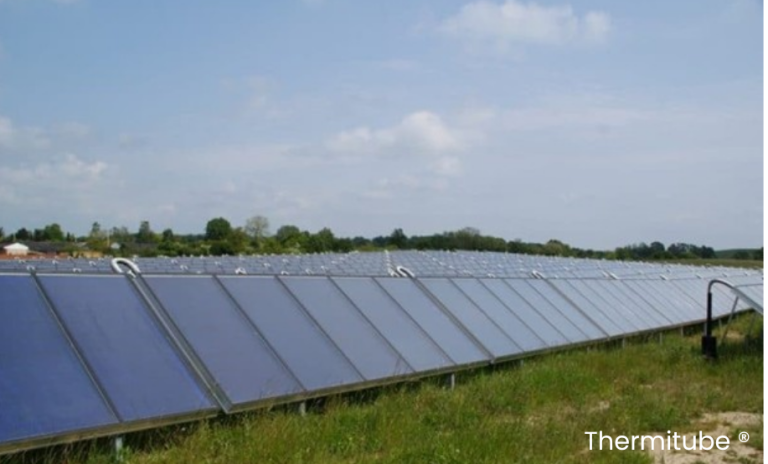 Solar thermal panels for greenhouse