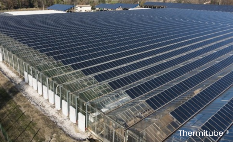 PV photovoltaic greenhouse