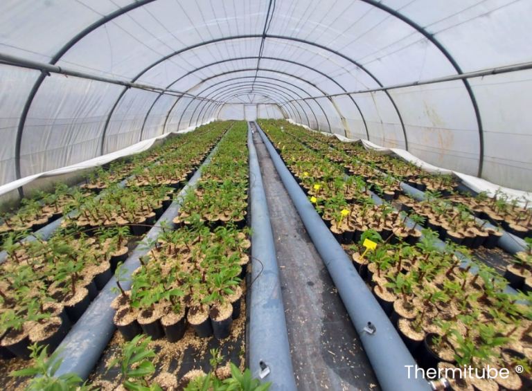 serre solaire passive isere